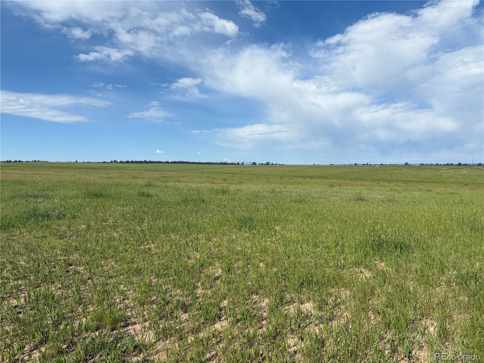 23554 County Road 33