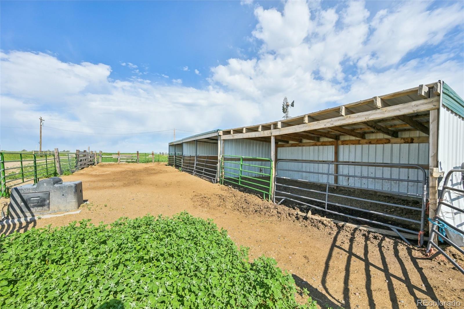 23554 County Road 33