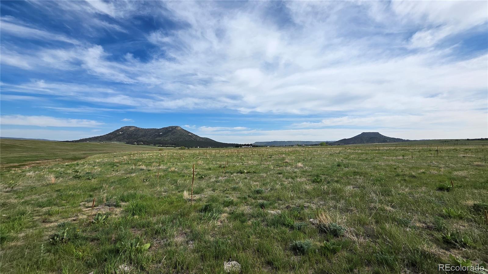 11001 Spruce Mountain Road