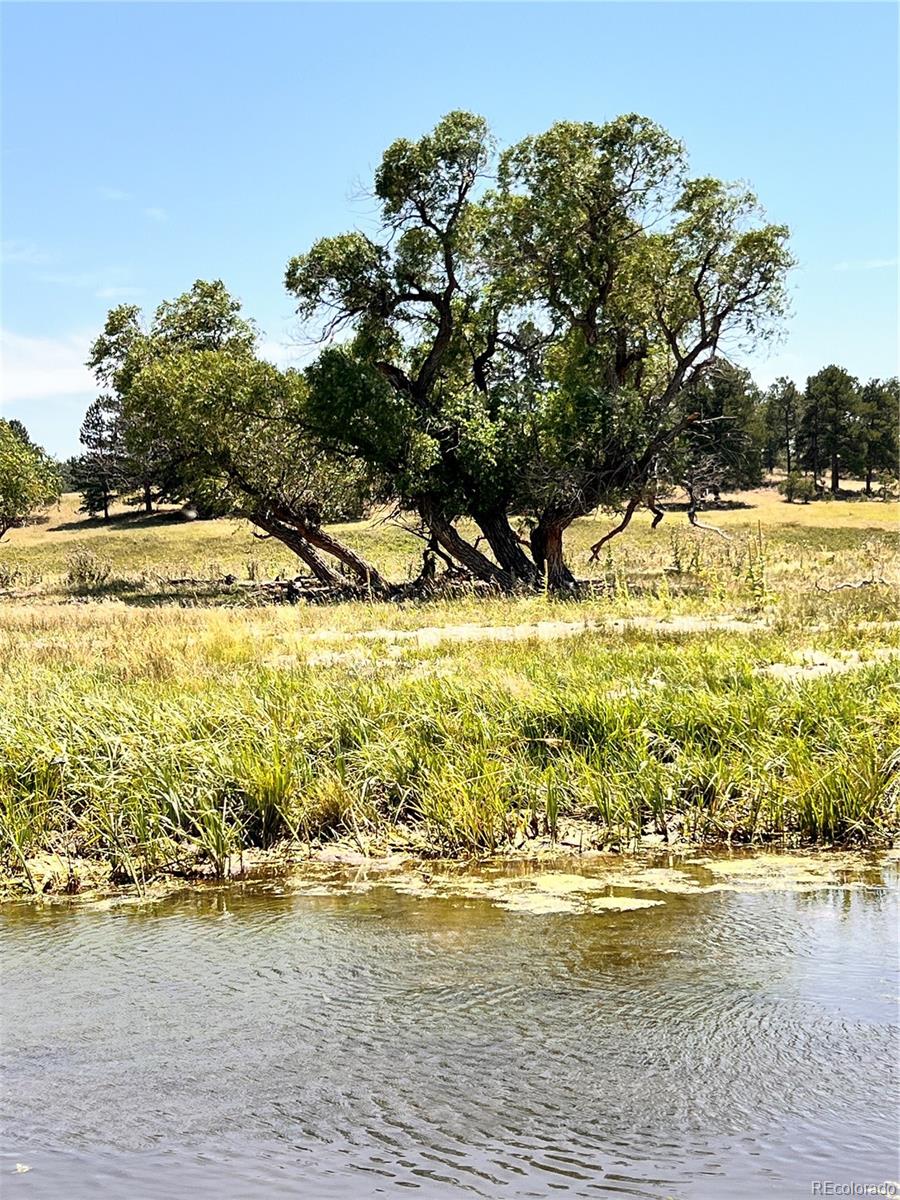 County Road 102