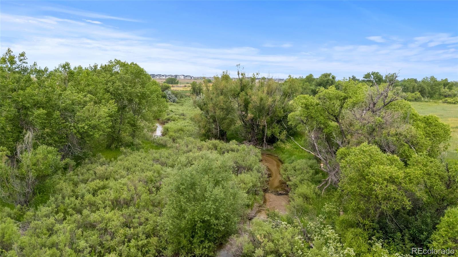 5909 Los Olivas Point