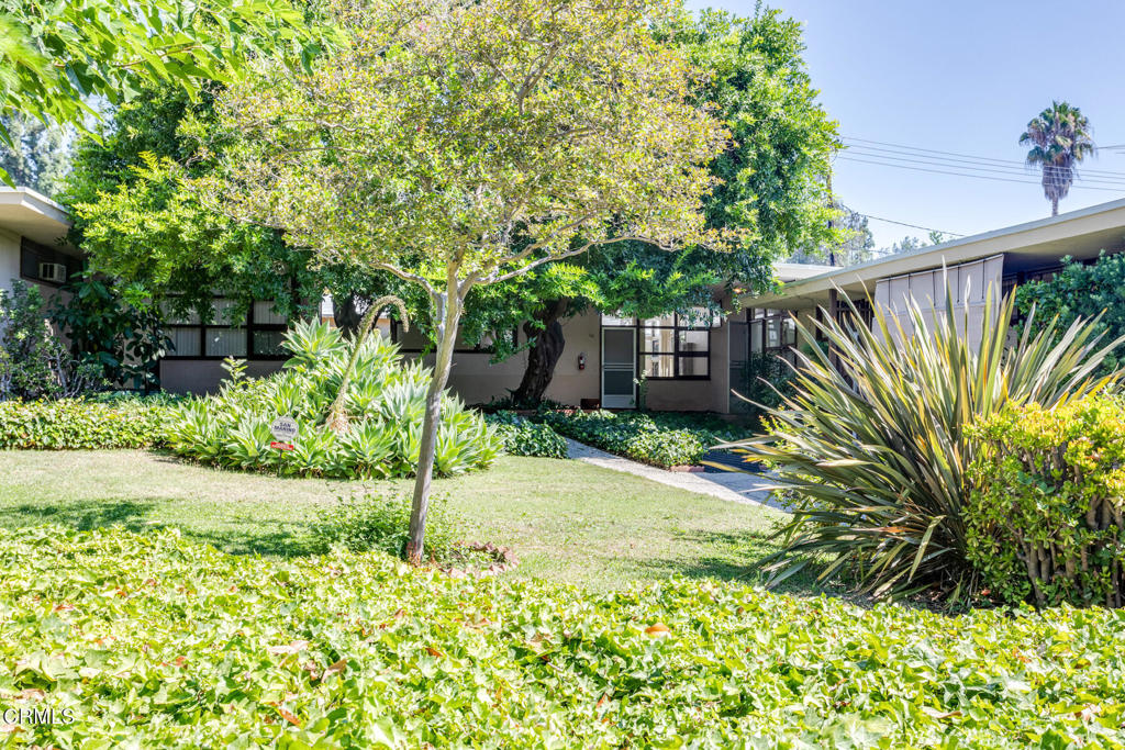 56 Avenue 64
