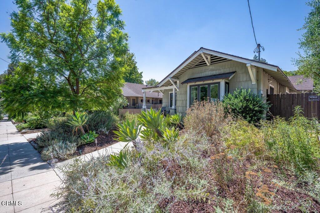Single-story house with a gabled roof, drought-tolerant landscaping, and a large tree beside the sidewalk.