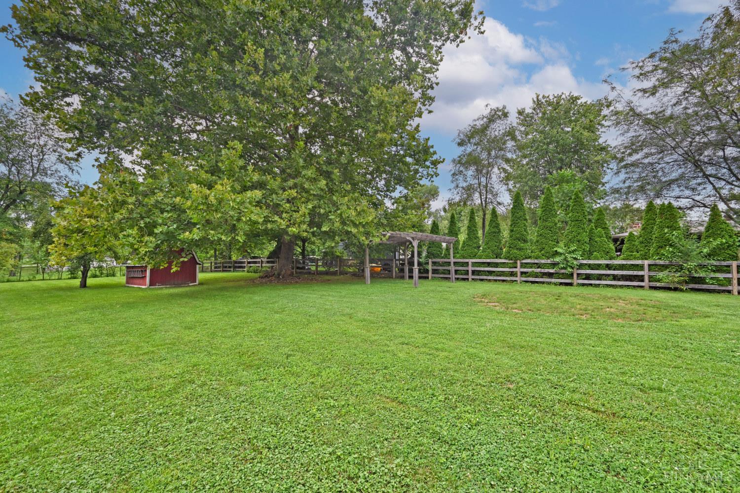 Spacious grassy backyard with a red shed, pergola, mature shade tree, and fenced evergreen border.