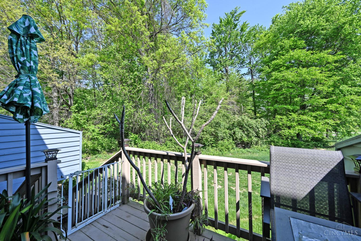 1056 Crisfield Drive