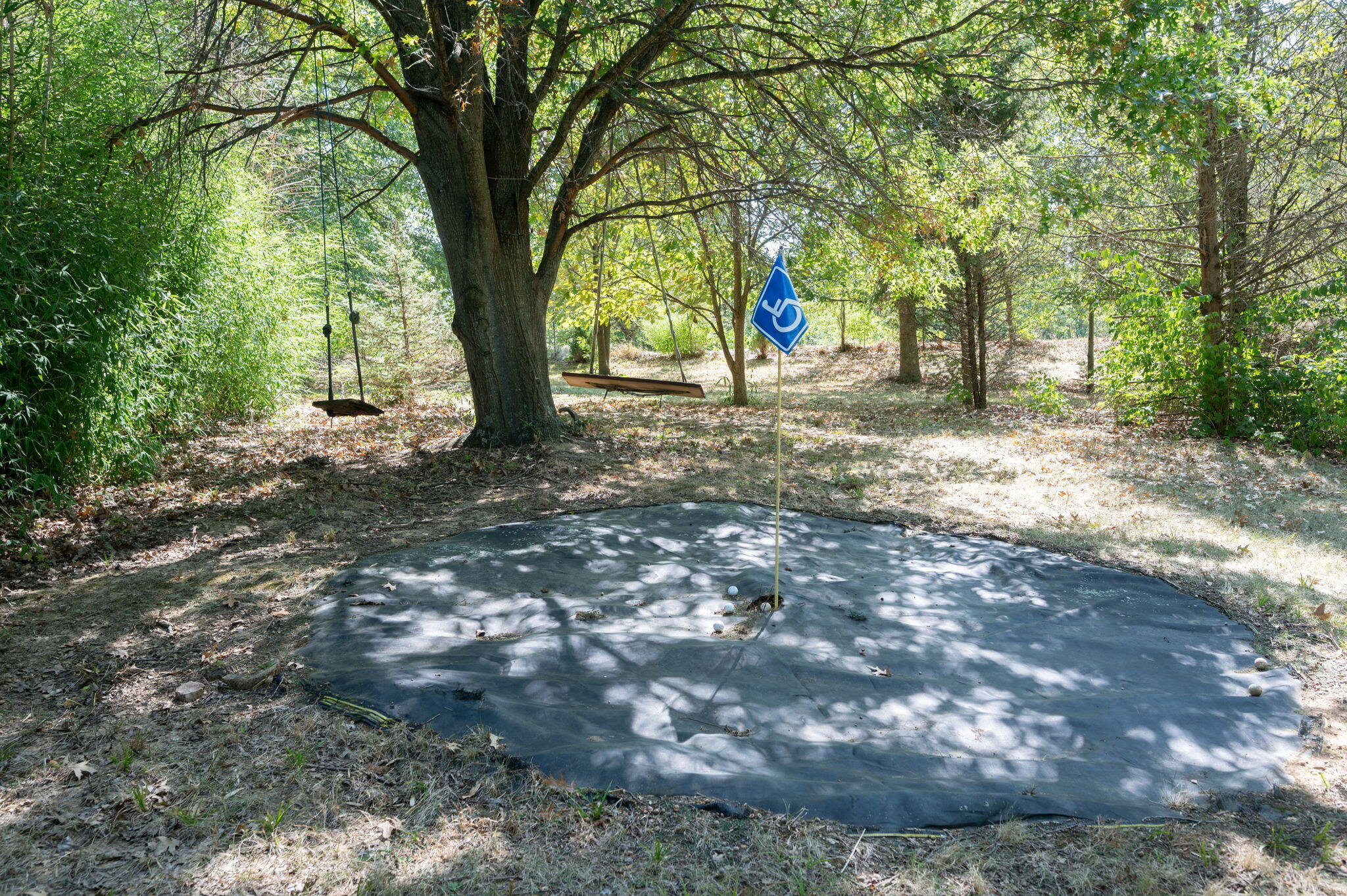 1860 Windingvine Court