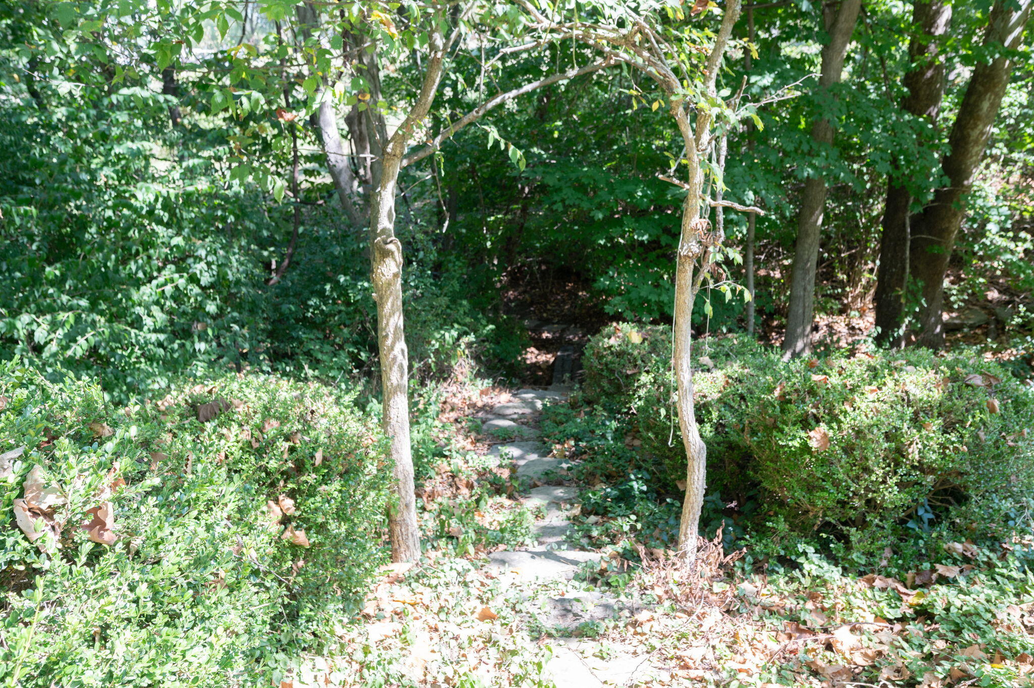 1860 Windingvine Court