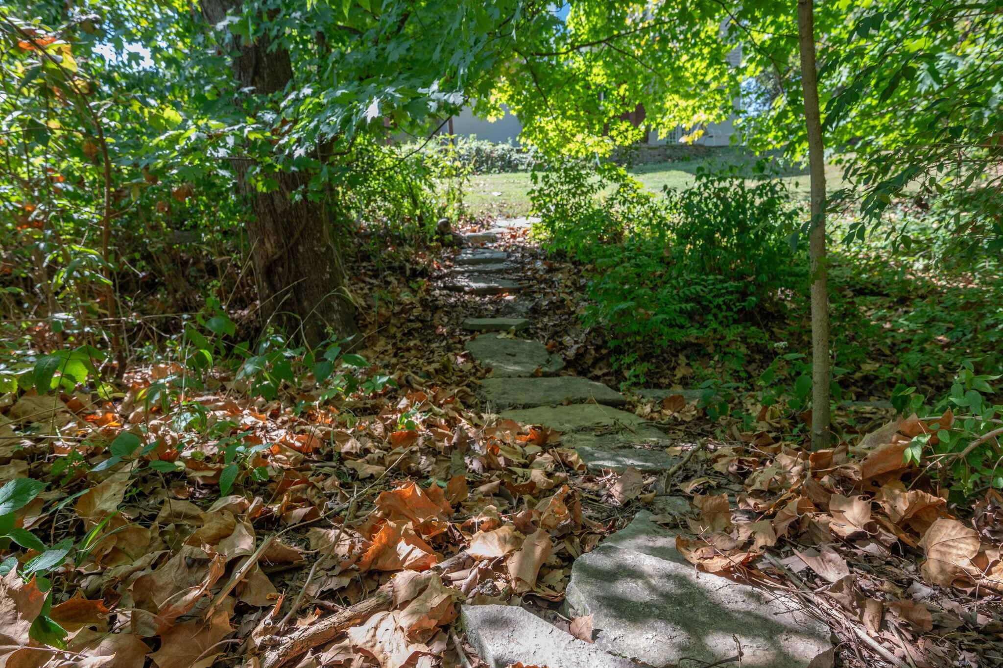 1860 Windingvine Court