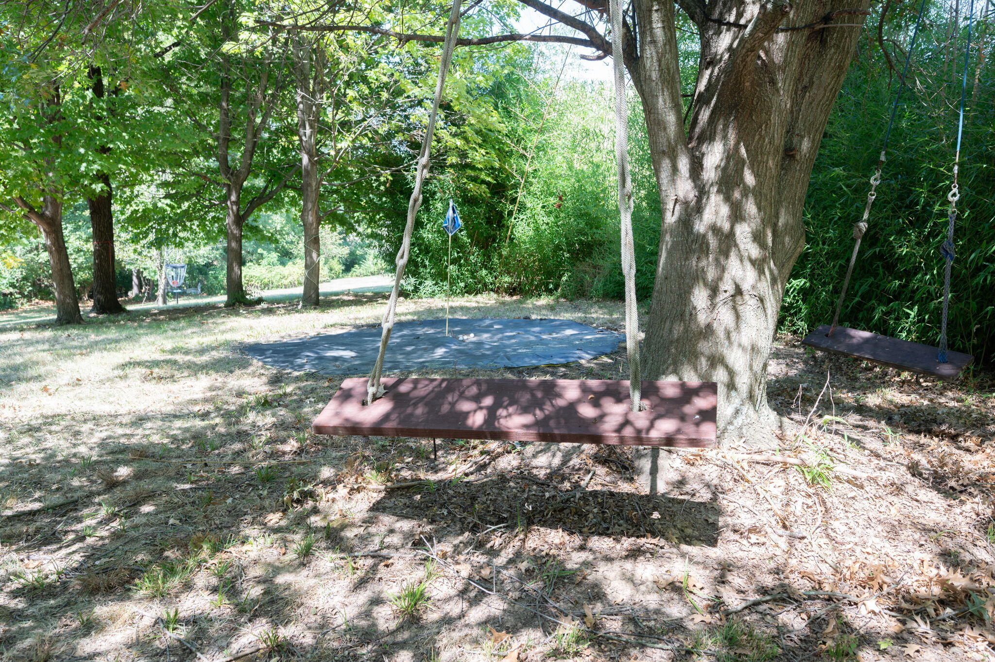 1860 Windingvine Court