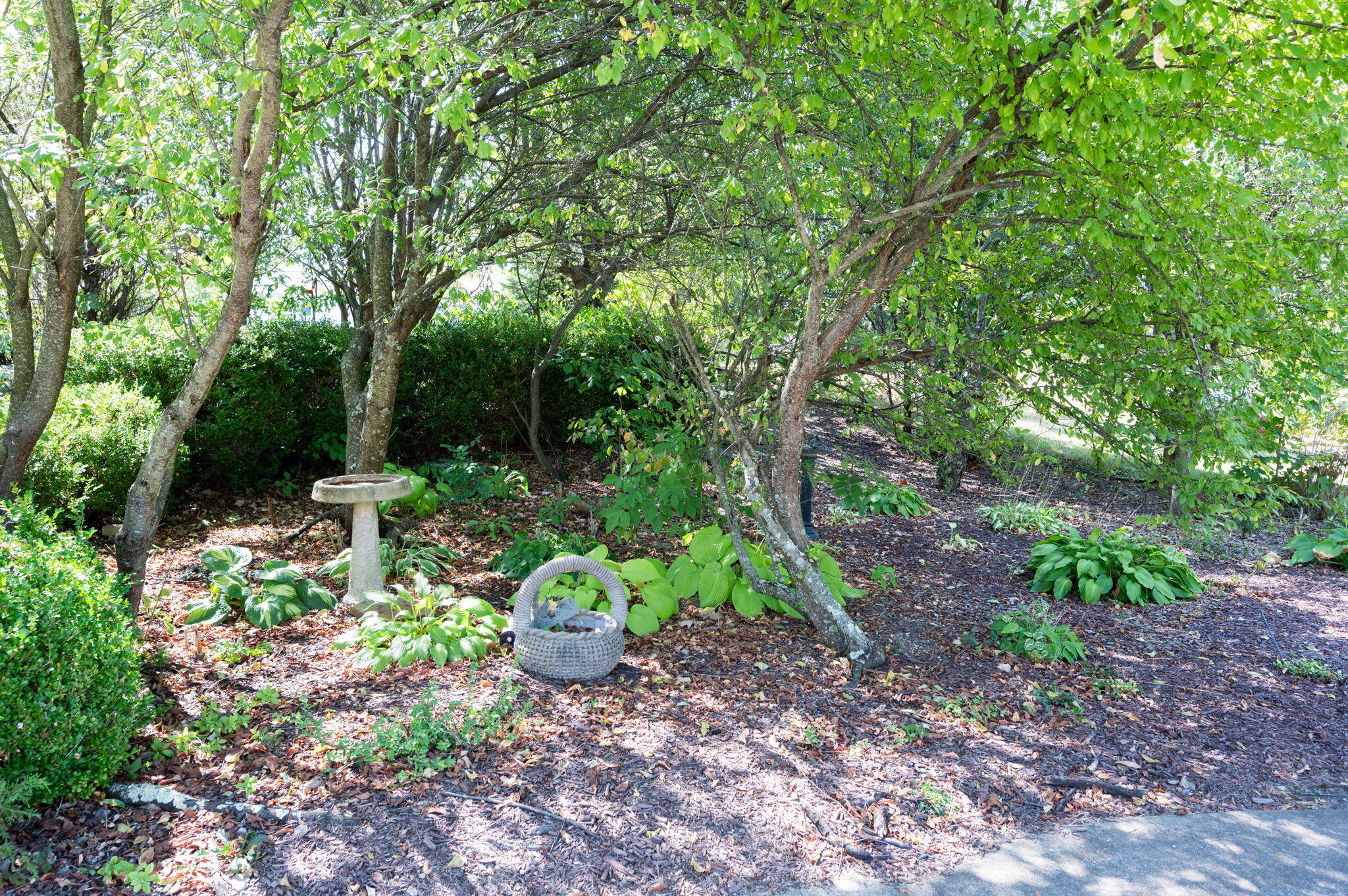 1860 Windingvine Court