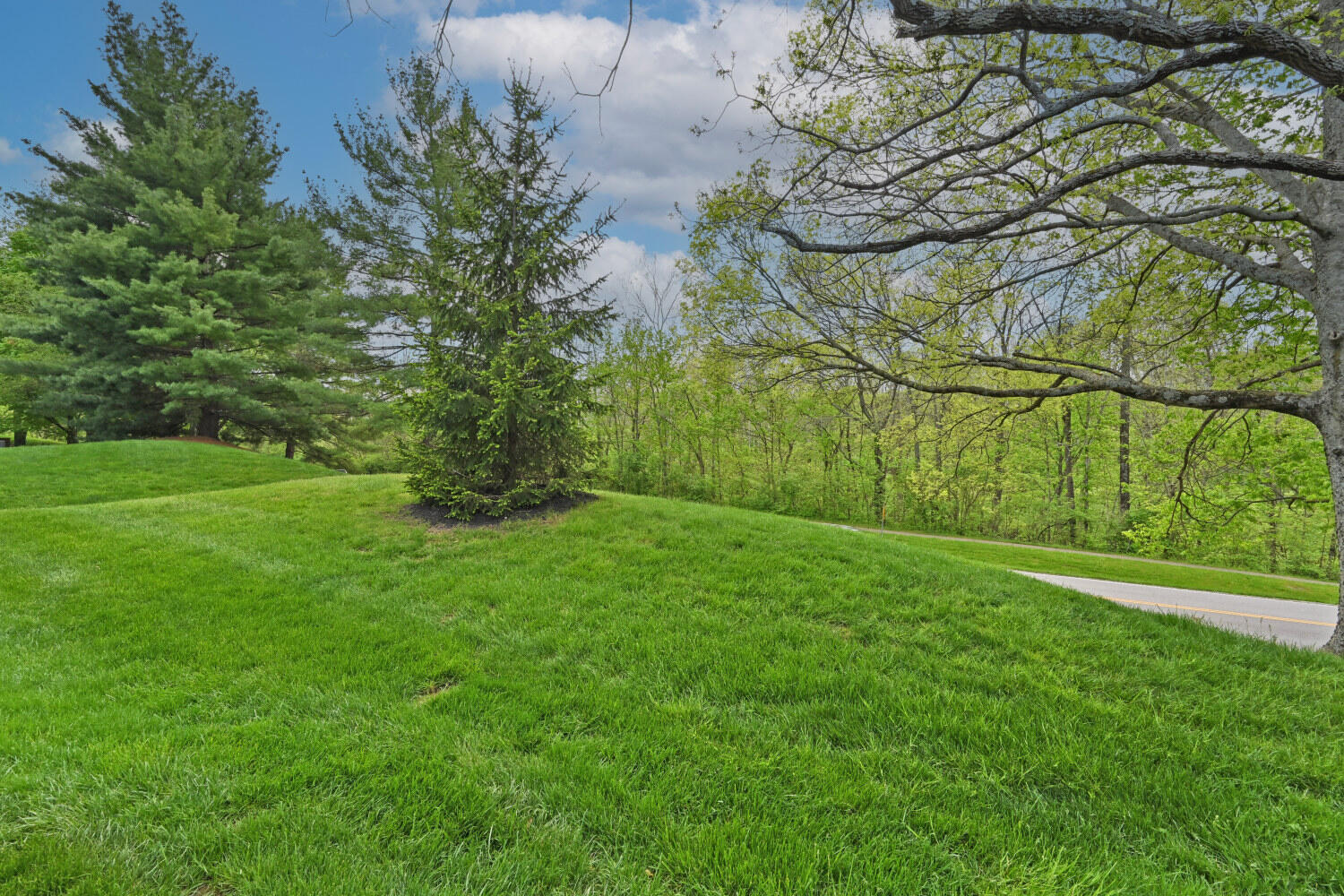 6359 Cliffside Drive