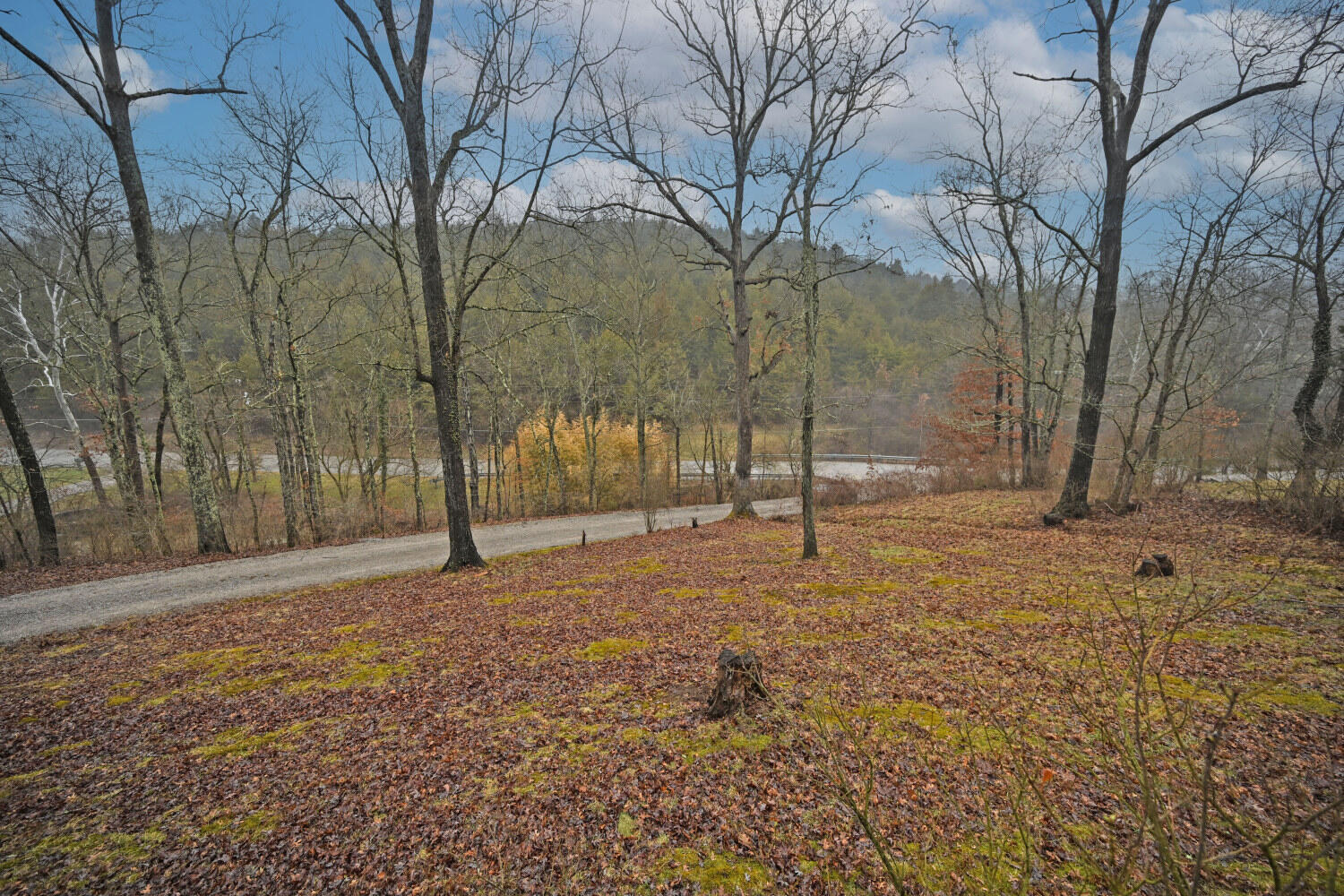 9271 Jerry Wright Road