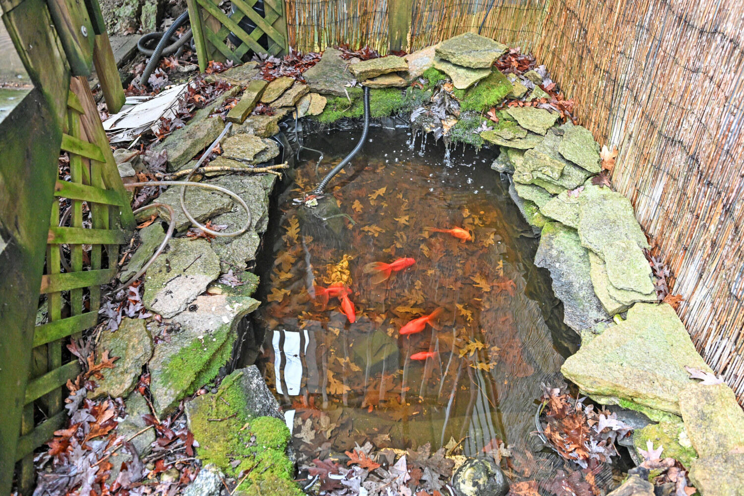 9271 Jerry Wright Road