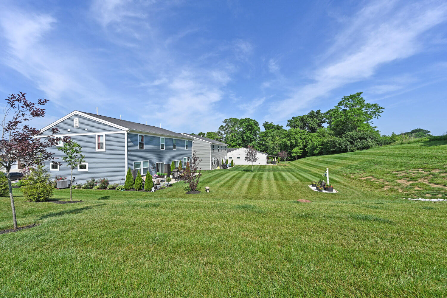 11136 Dairybarn Lane