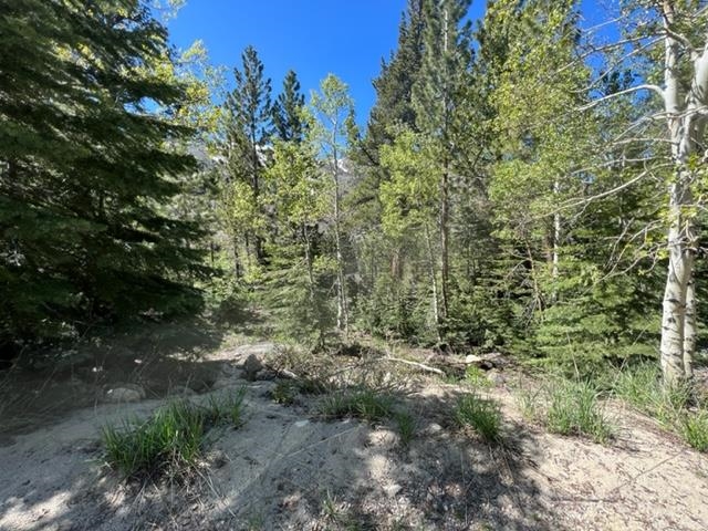 Lot 7 Block G Kirkwood Drive