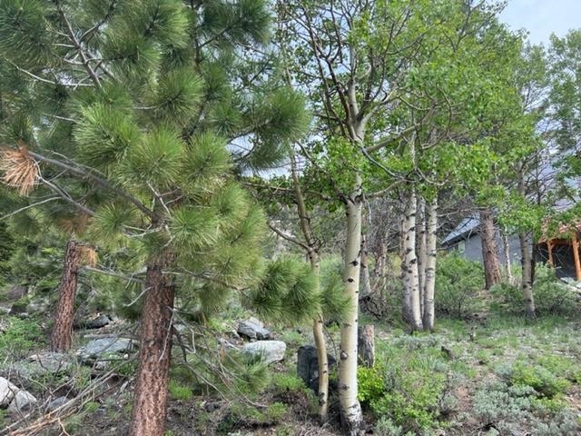 Lot 7 Block G Kirkwood Drive