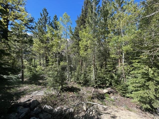 Lot 7 Block G Kirkwood Drive