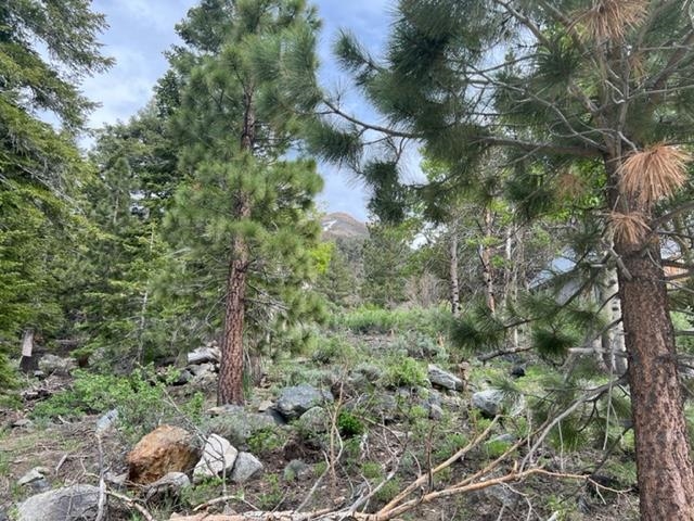 Lot 7 Block G Kirkwood Drive