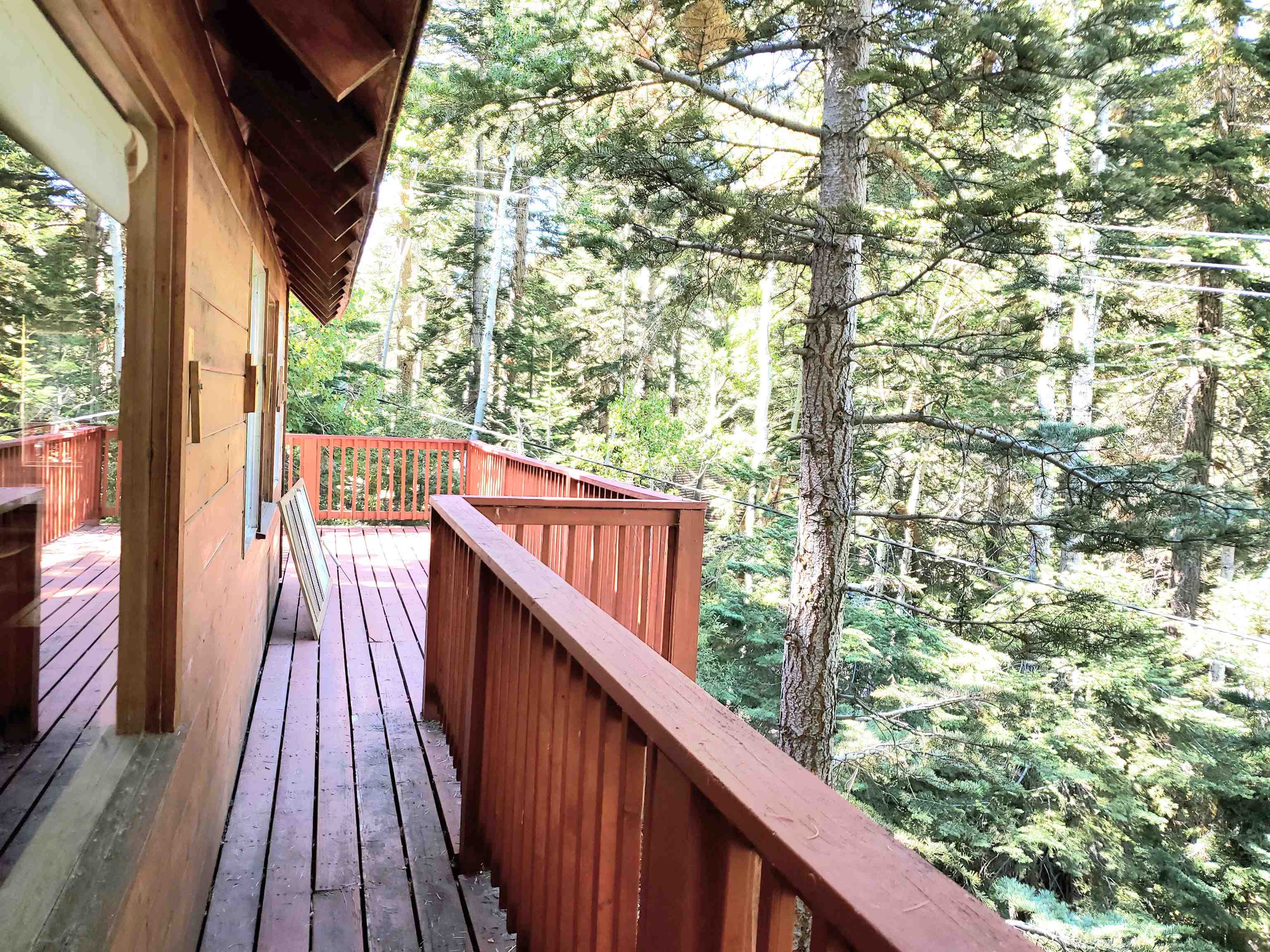 215 Eagles Nest