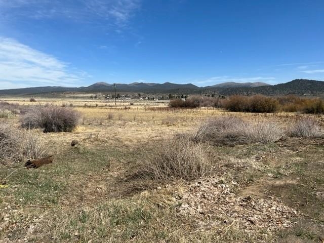 Lot 6 Stock Drive