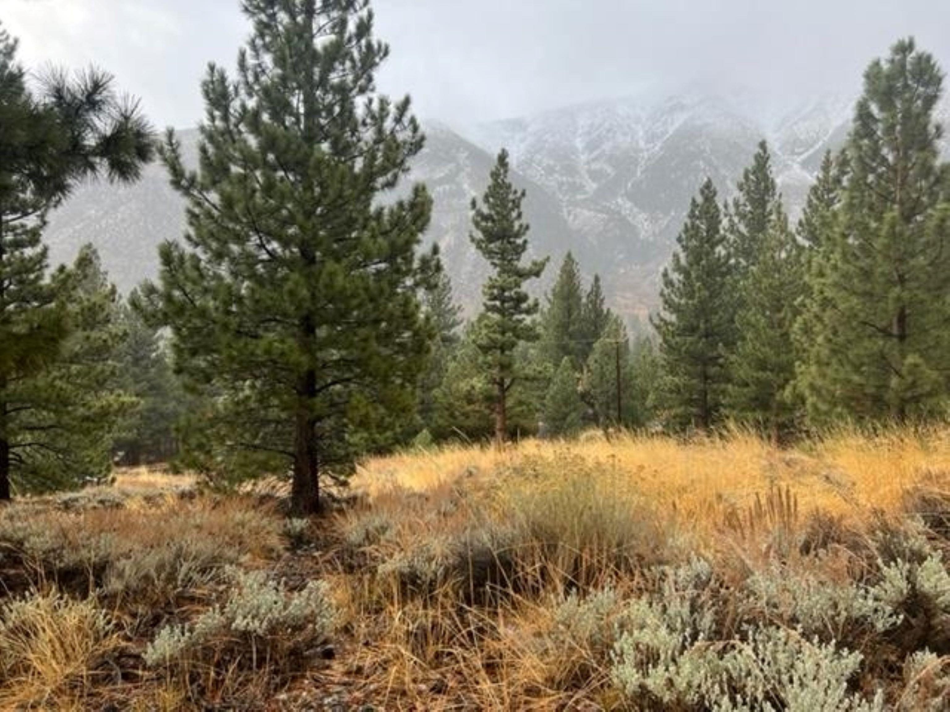 Lot 16 Matterhorn Drive