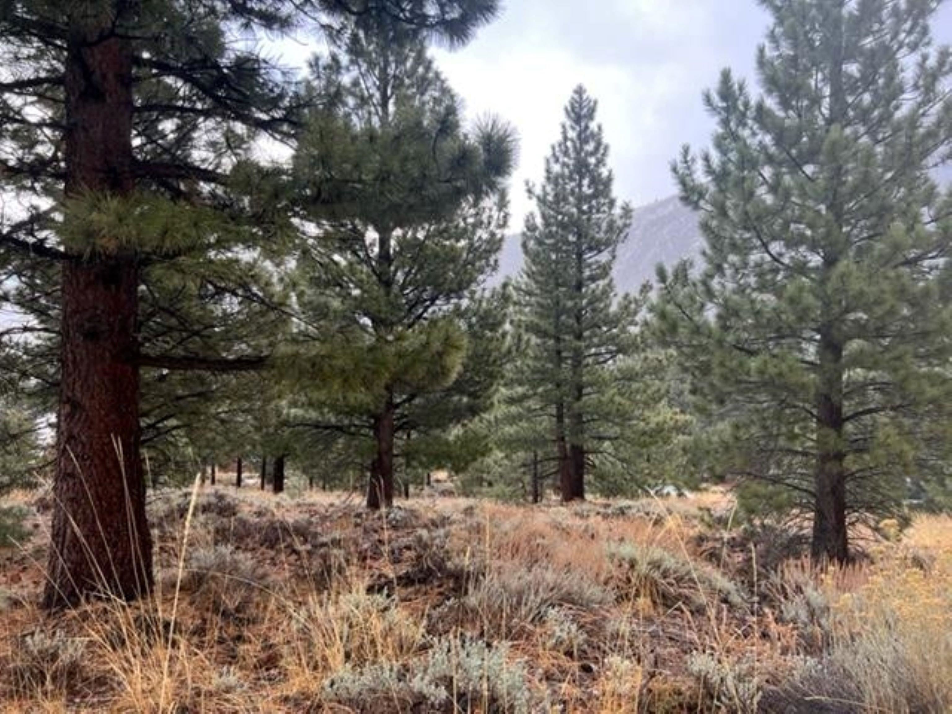 Lot 16 Matterhorn Drive