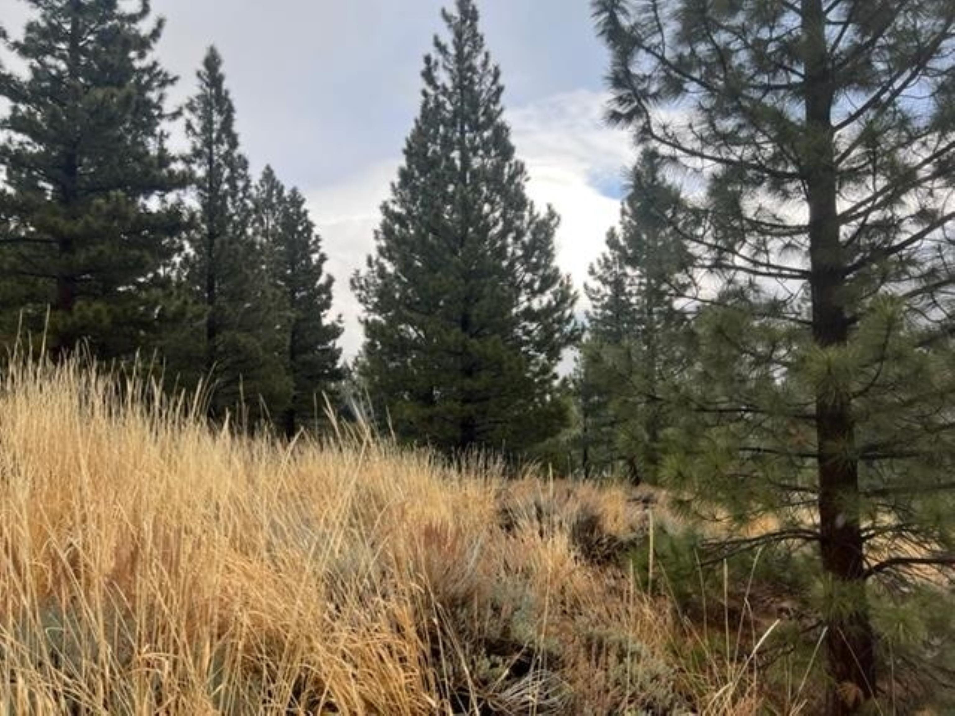 Lot 16 Matterhorn Drive