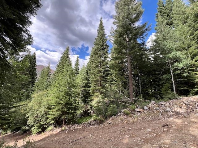 Lot 4 Crest Drive