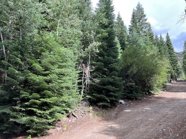 Lot 4 Crest Drive