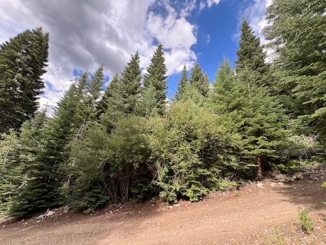 Lot 4 Crest Drive