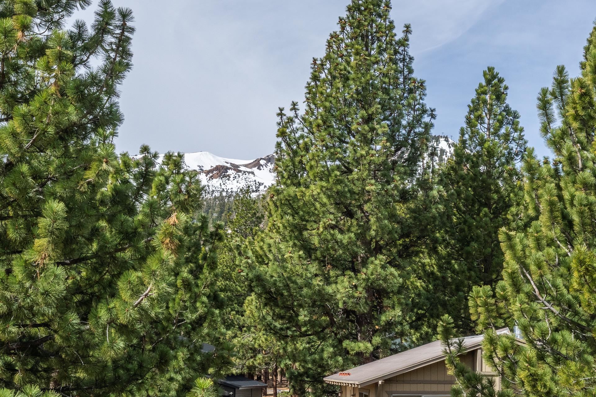Snow-covered mountain ridge framed by pine trees above a partially visible house.