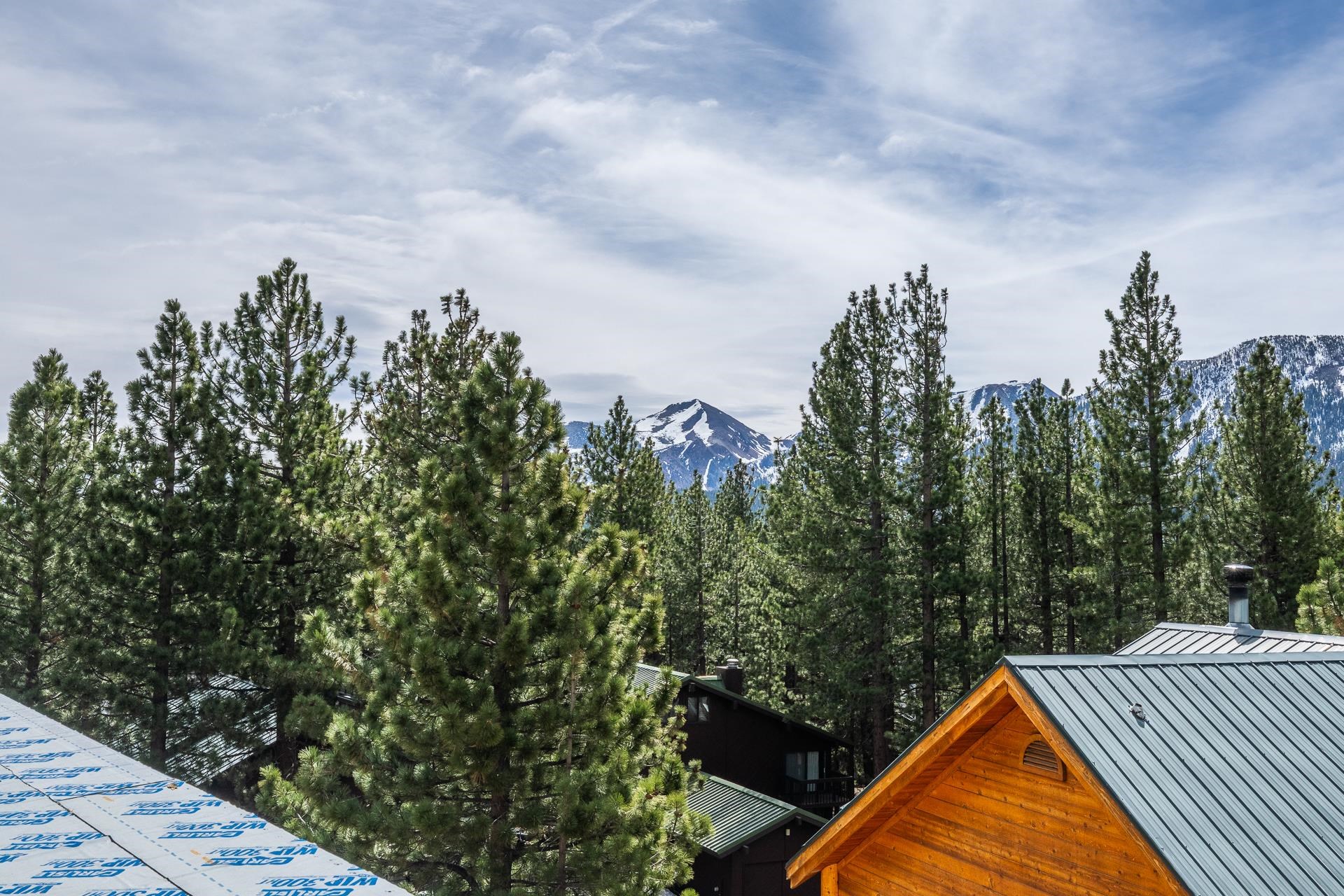 Pine trees frame a snow-streaked mountain peak above nearby homes with metal roofs.
