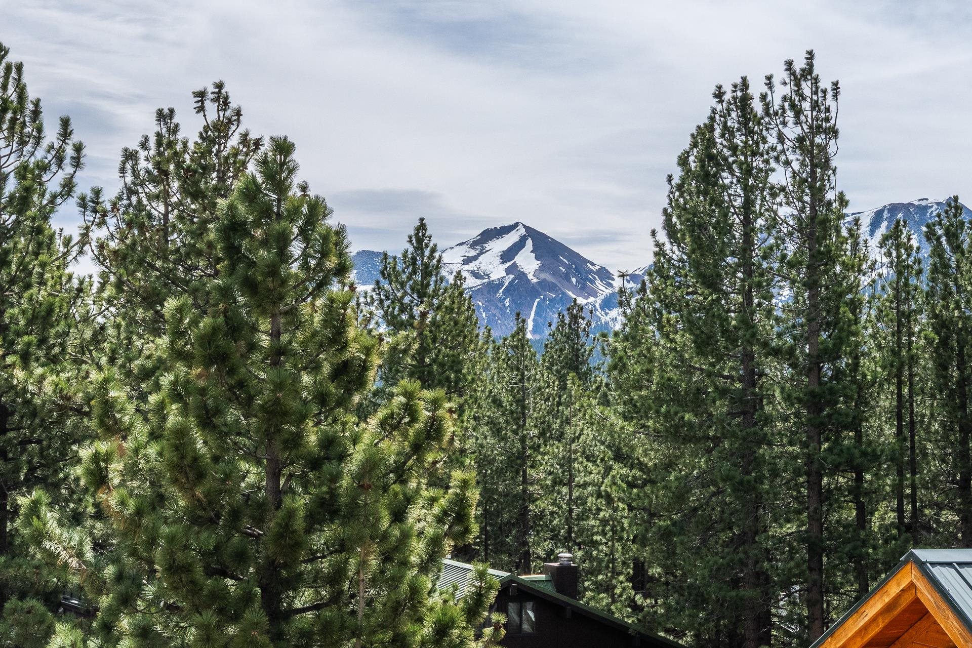 Snow-streaked mountain peak beyond pine trees, with rooftops visible below.