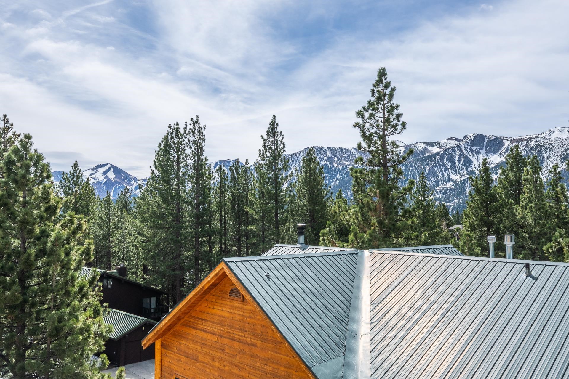 Home’s metal roof and timber gable among pines, with snow-covered mountains beyond.