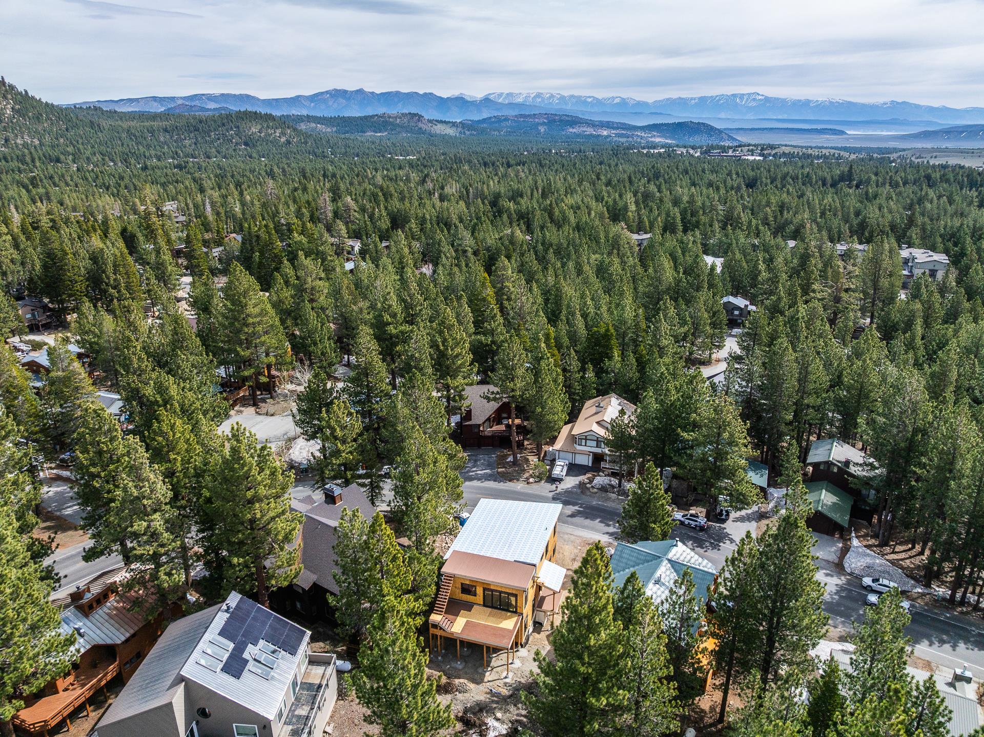 Aerial view of a pine-forested neighborhood with scattered homes and distant snow-dusted mountains.