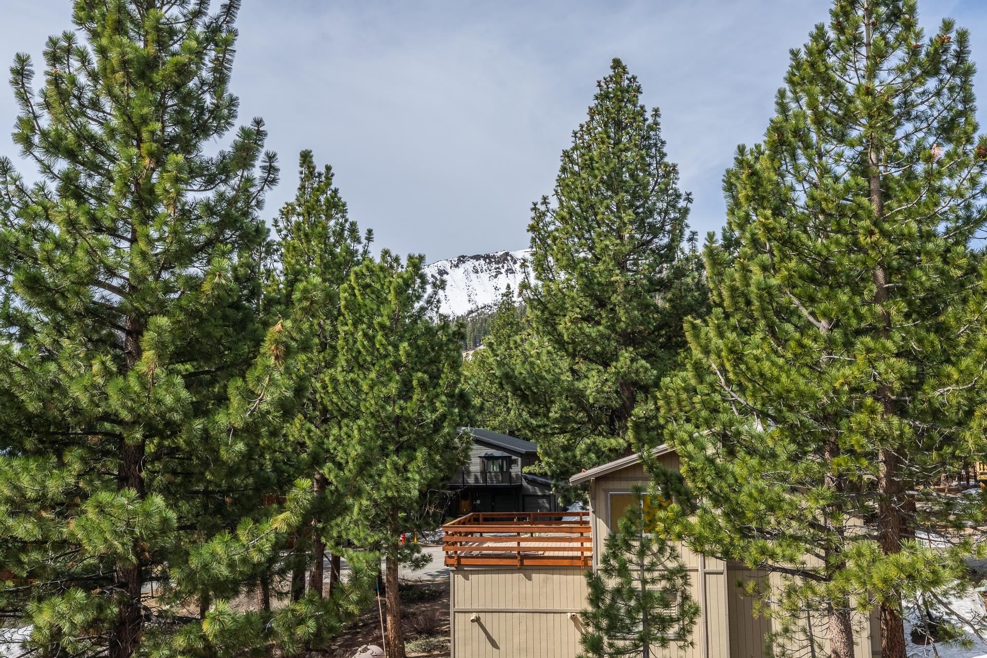 Mountain home partly hidden among tall pines, with a wooden deck and snowy peak beyond.