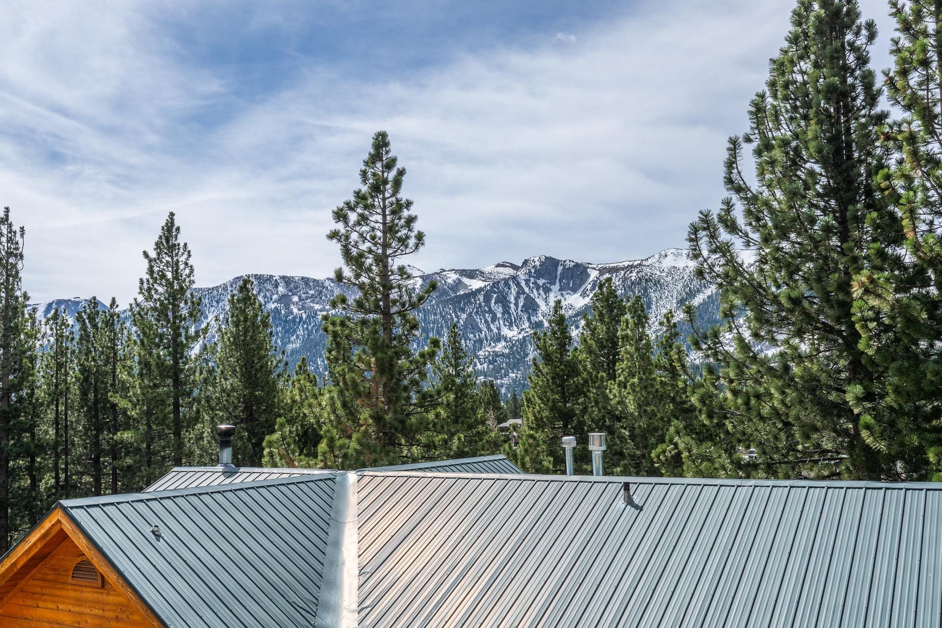 Snow-covered mountains rise behind pine trees and a gray metal roof.