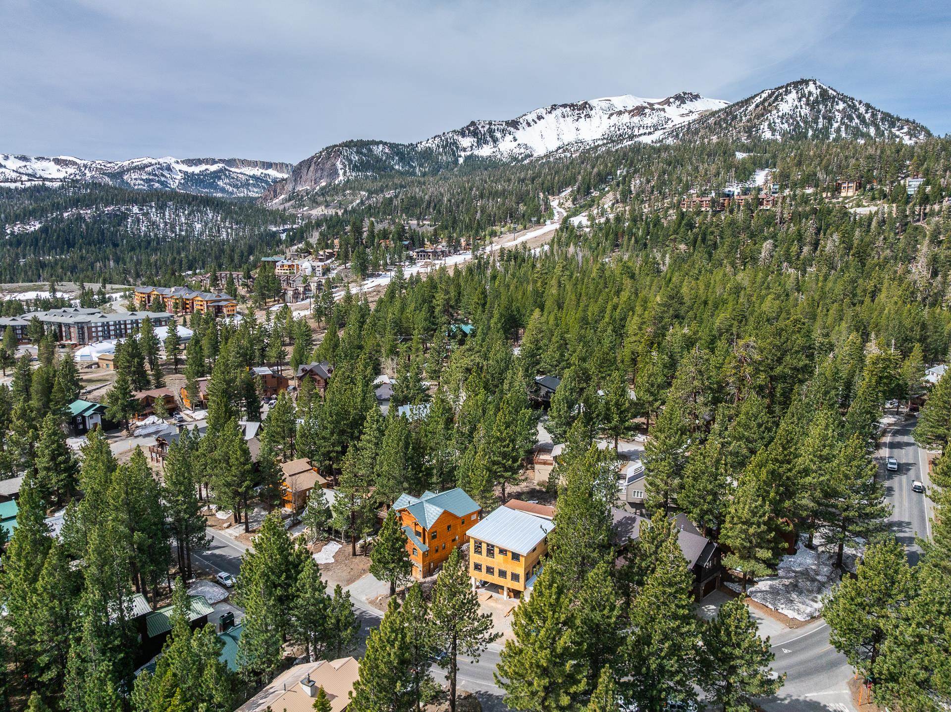 Aerial view of homes among pine trees beneath snow-covered mountains.