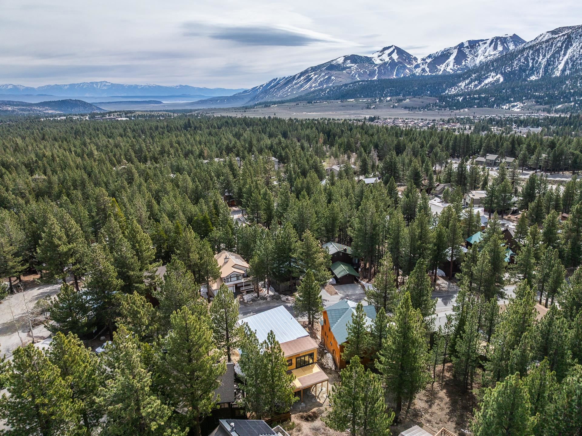 Aerial view of a home among pine trees, with snow-capped mountains in the distance.