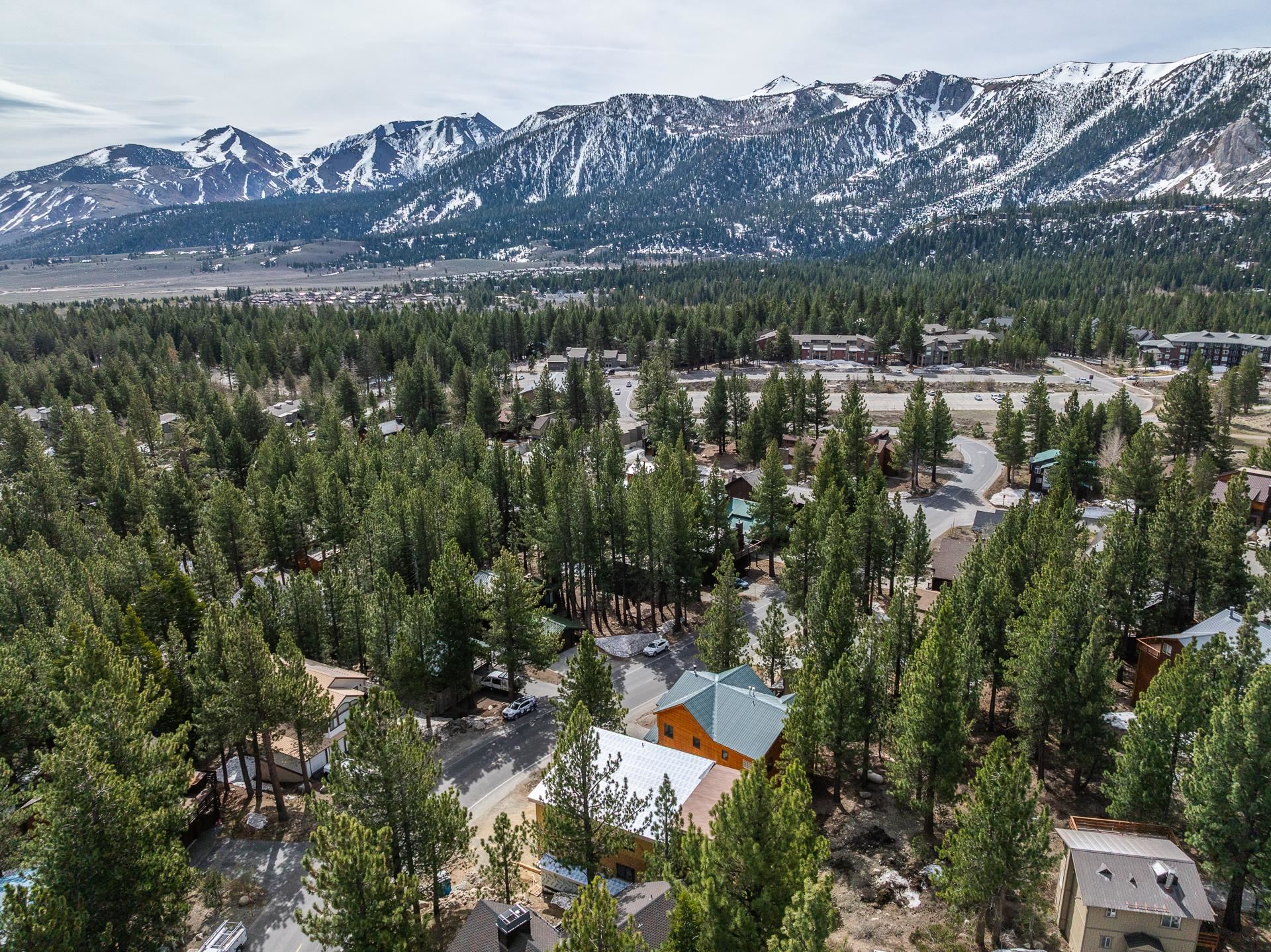 Aerial view of homes among pine trees, with snow-streaked mountains in the distance.
