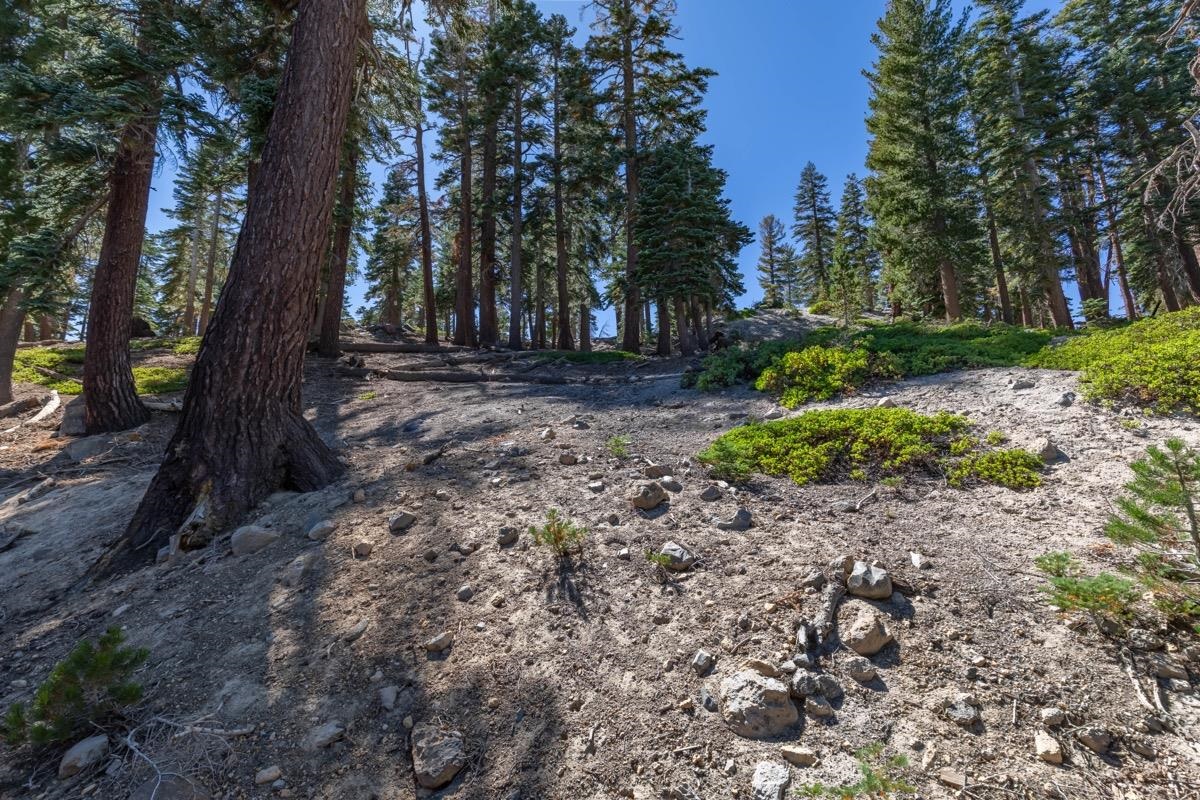 670 John Muir Unit: 26