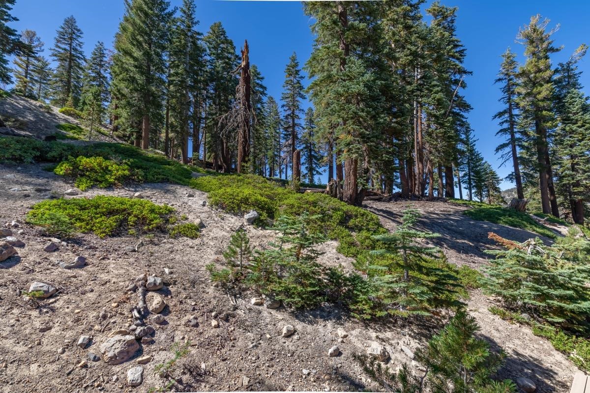 670 John Muir Unit: 26