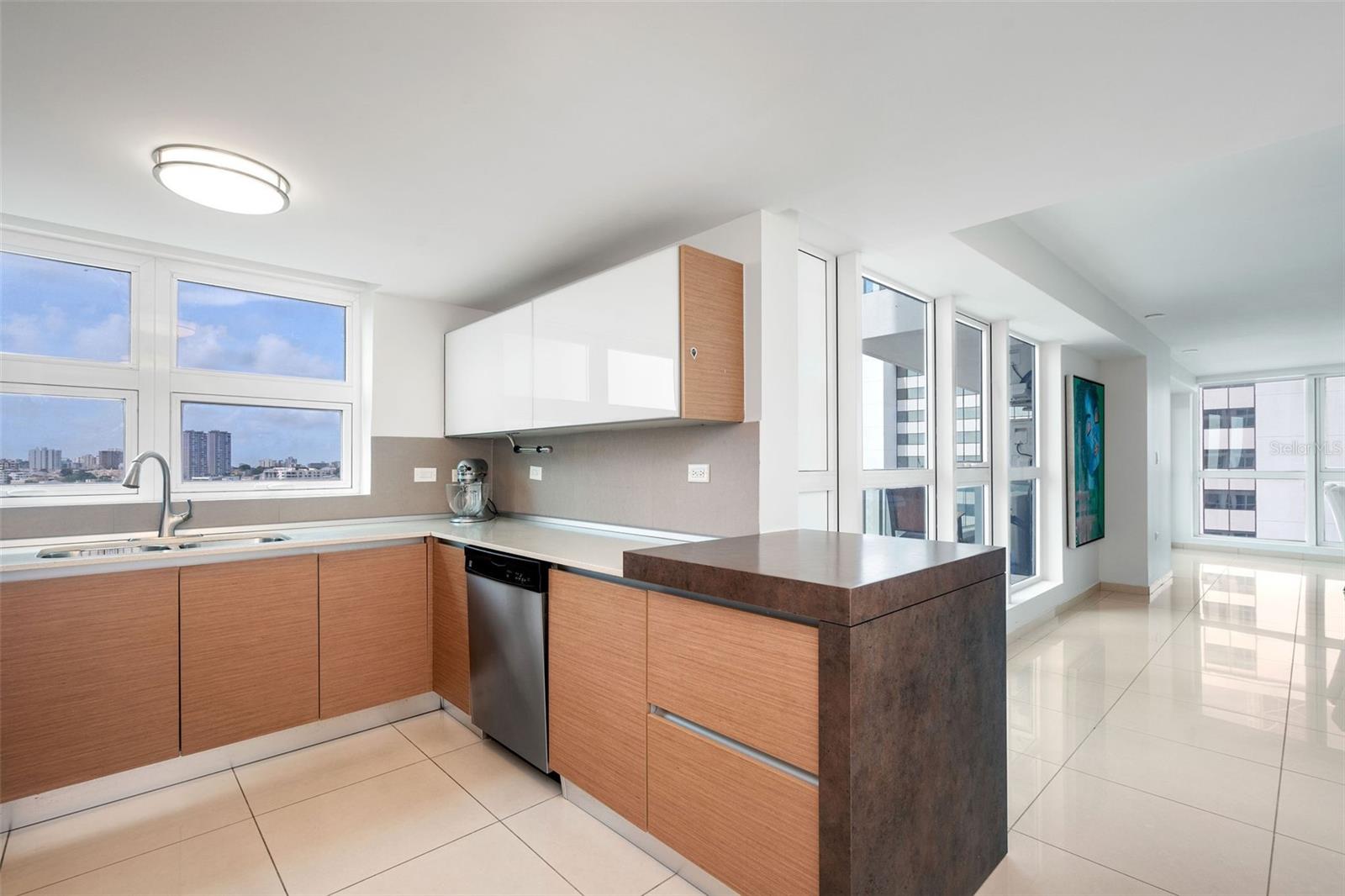 48 LUIS MUNOZ RIVERA AVE #1503