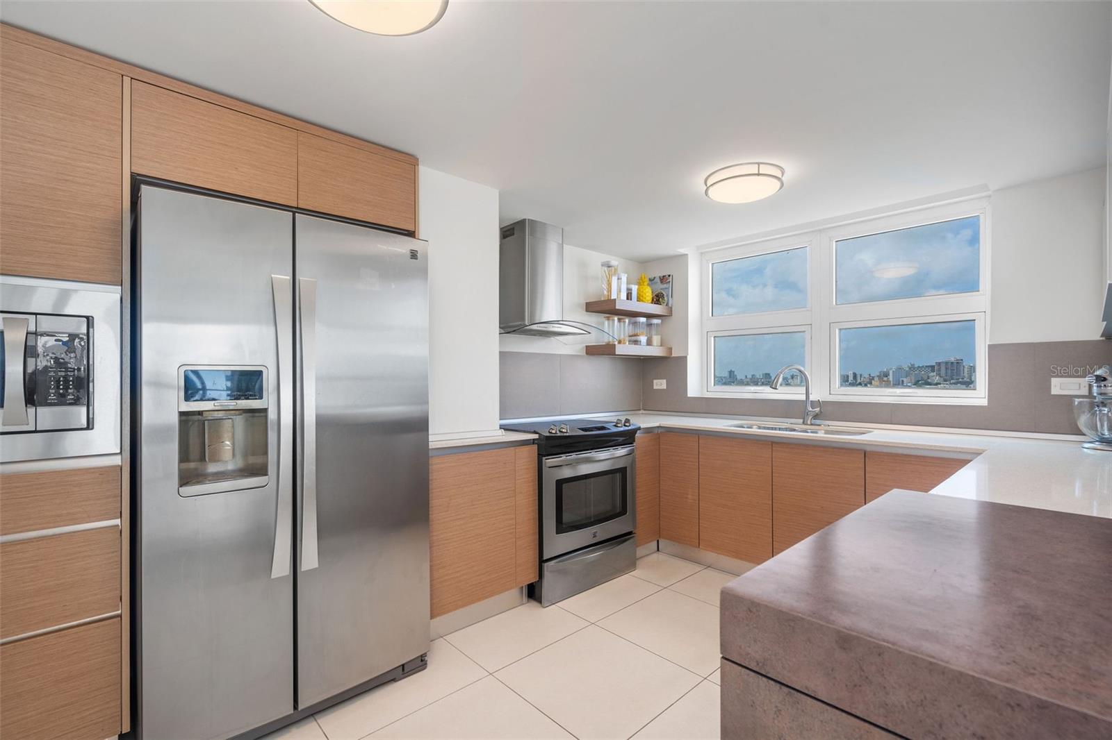 48 LUIS MUNOZ RIVERA AVE #1503
