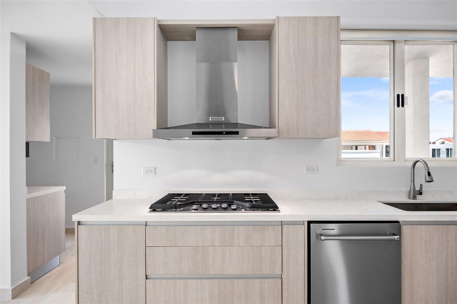 710 CAMINO DE LAS IRIS ST