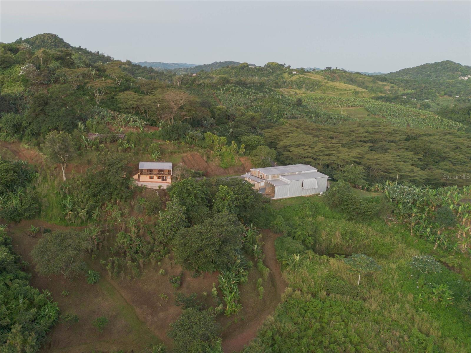 SR 526 BOSQUE TANAMA