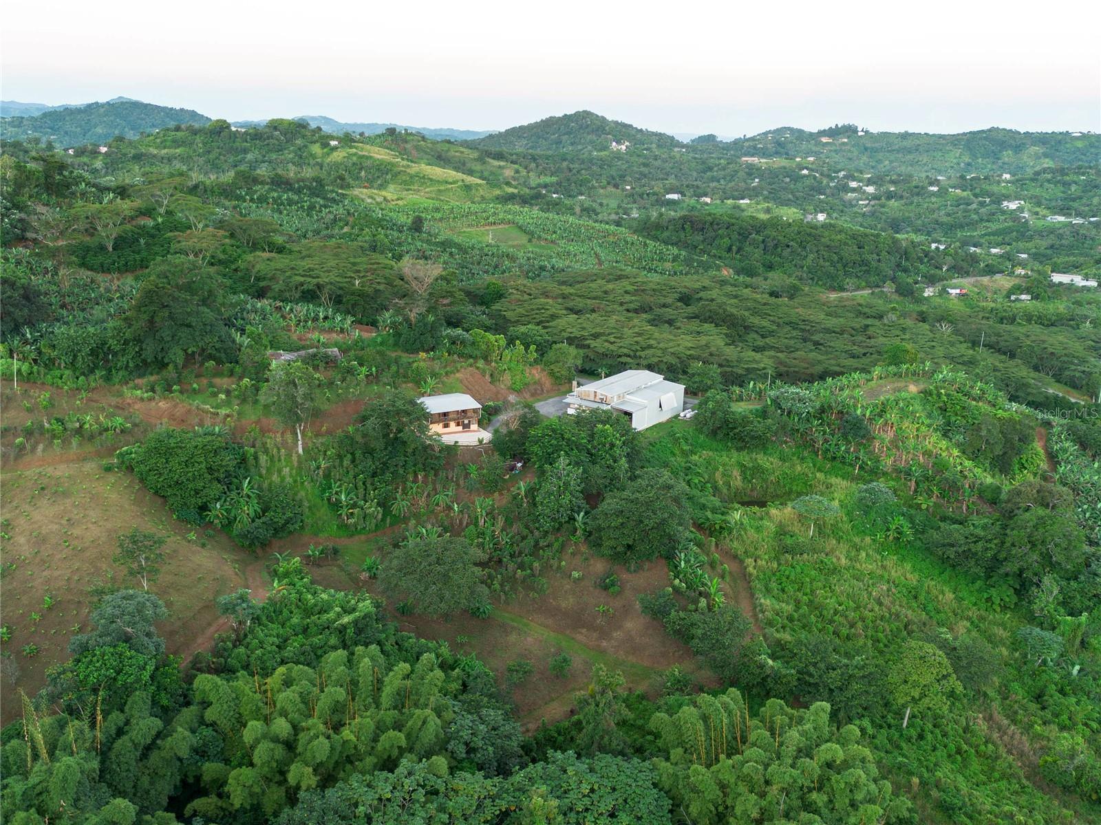 SR 526 BOSQUE TANAMA