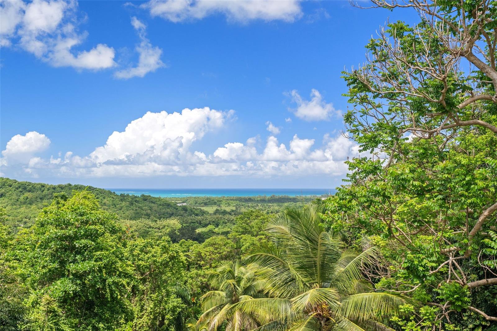 Lote 142 COLINAS DE LUQUILLO