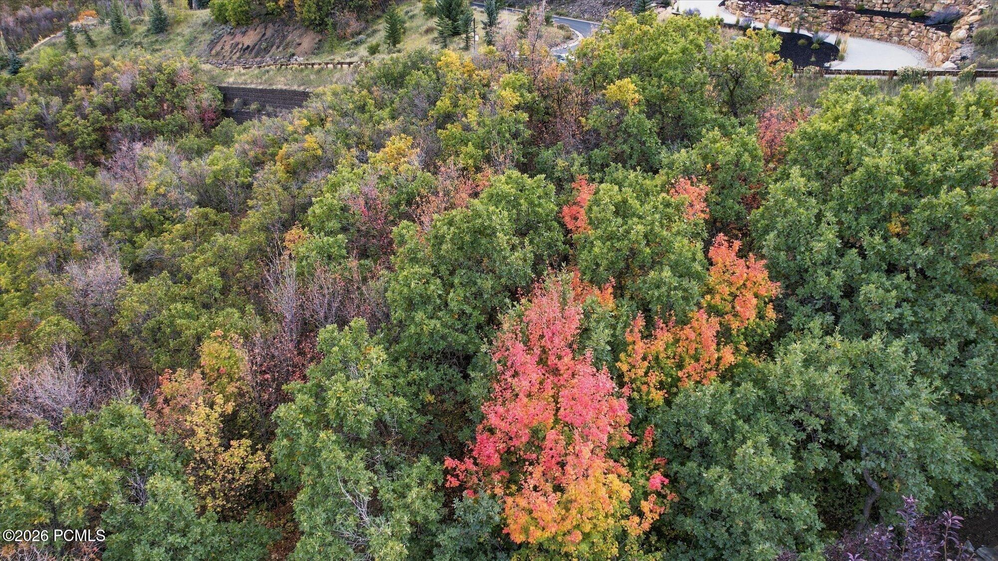 2646 W Deer Hollow Road 119