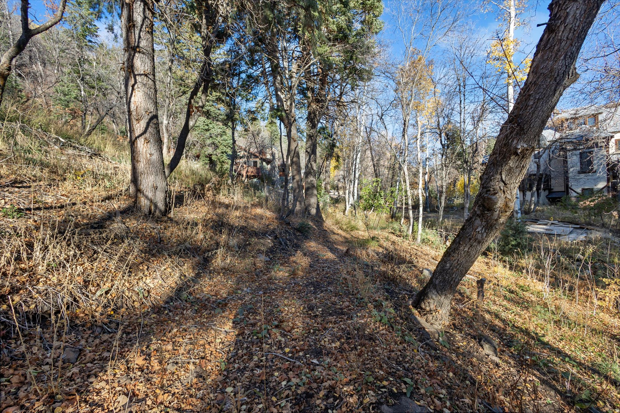 9128 N TIMPHAVEN RD Unit: 15